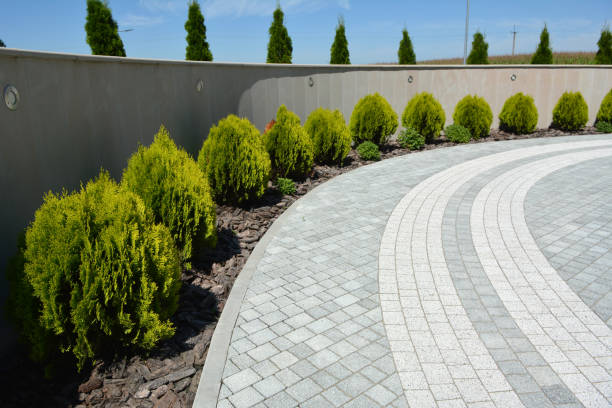 Reasons to Select Us for Your Driveway Paving Requirements in Tremont, IL