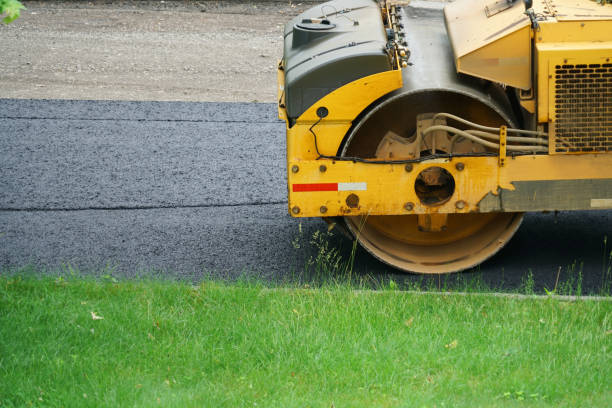 Best Custom Driveway Pavers  in Tremont, IL
